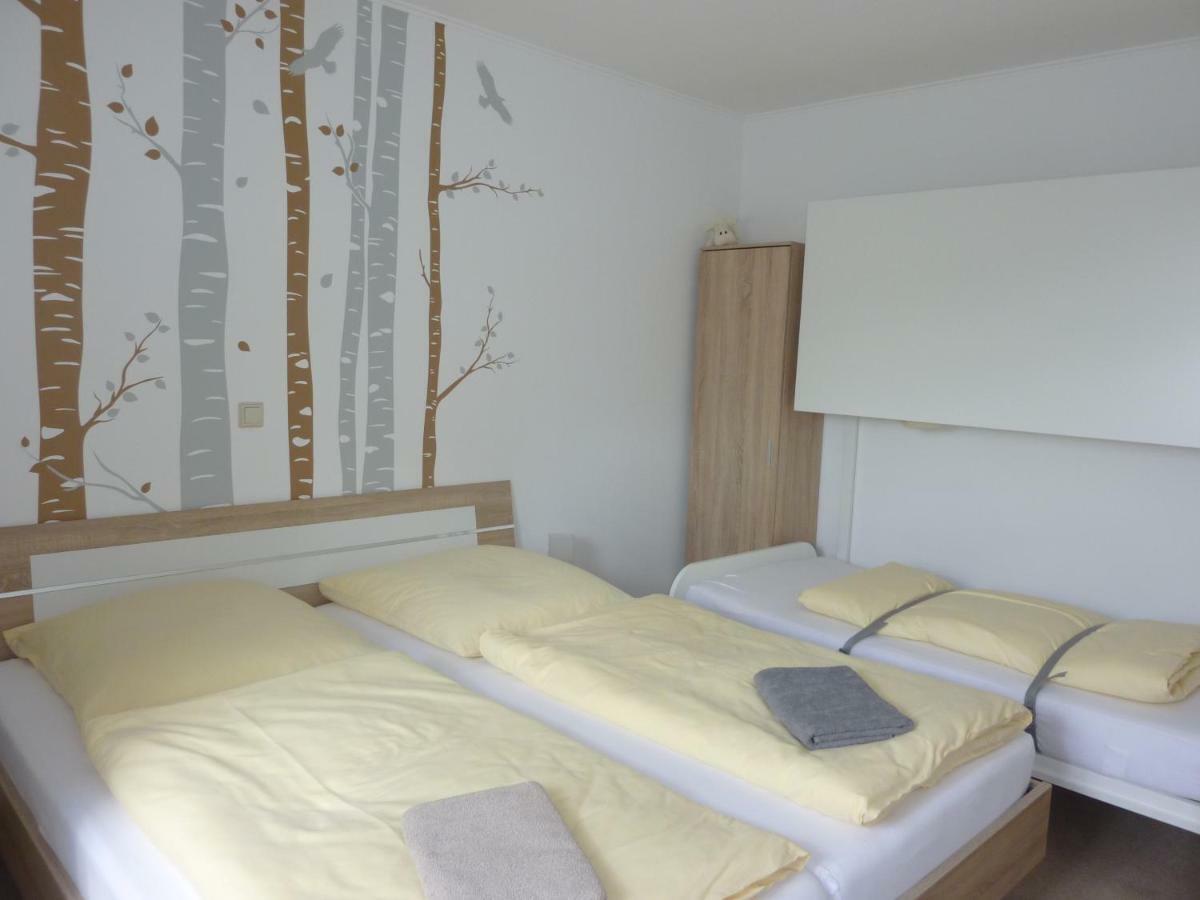Ferienwohnung Edelmann Markersbach Buitenkant foto
