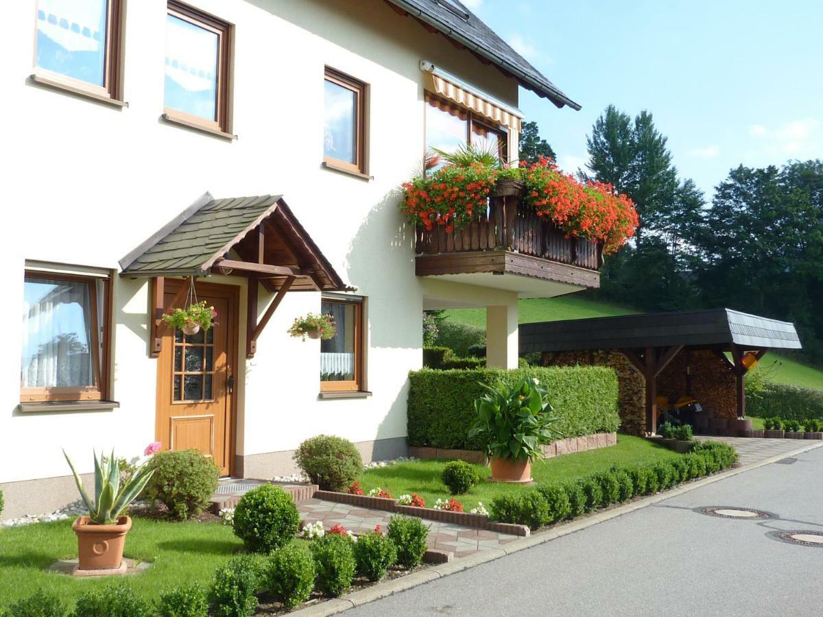 Ferienwohnung Edelmann Markersbach Buitenkant foto